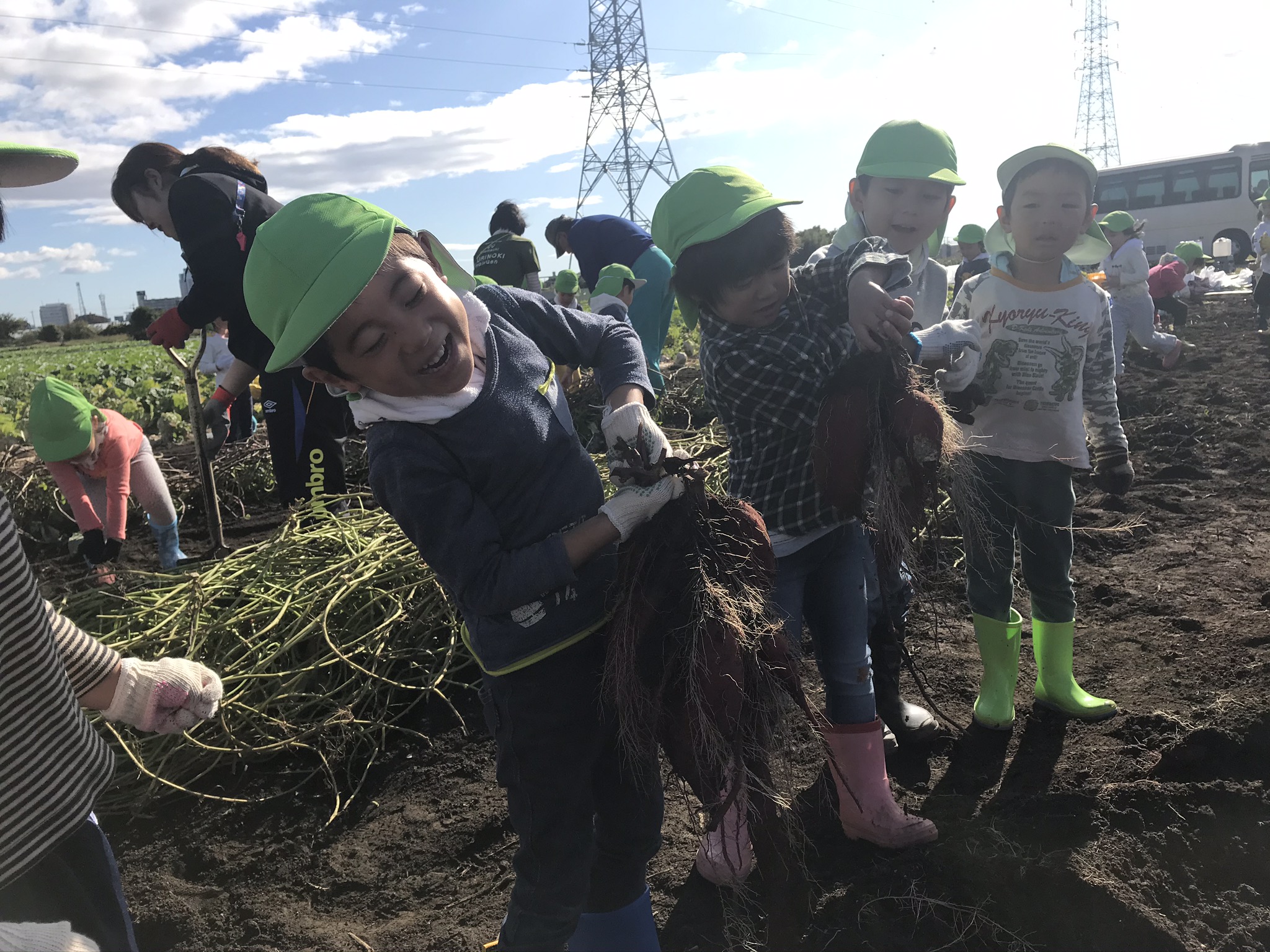 芋掘りツアー 年中さん