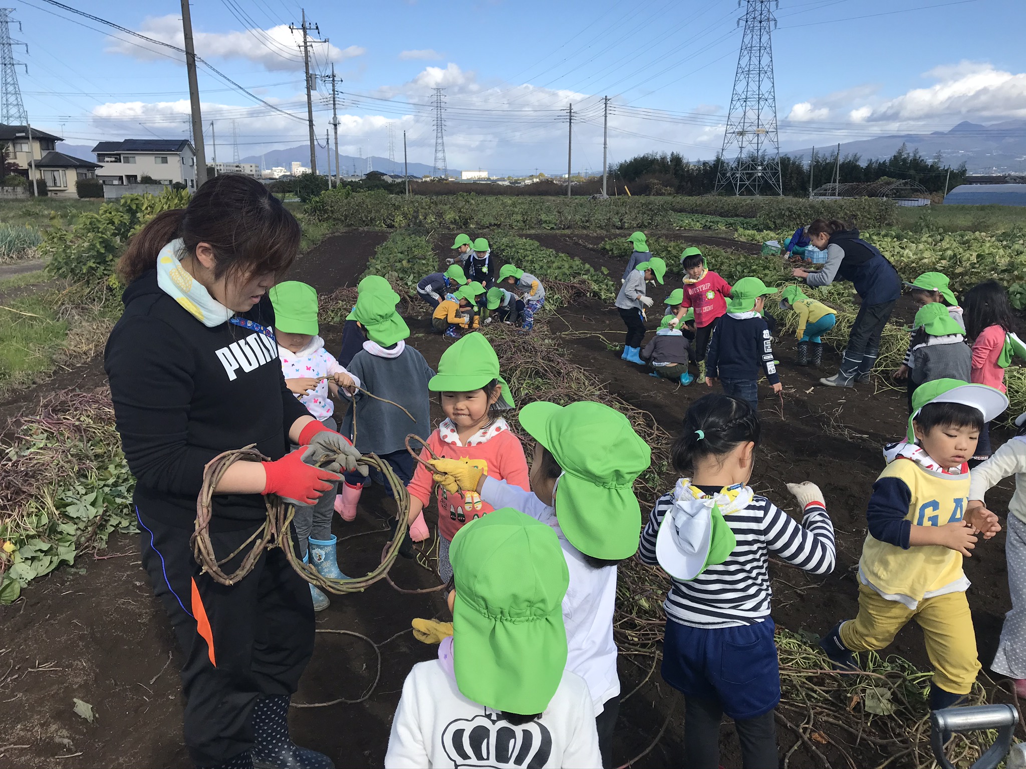 芋掘りツアー 年中さん